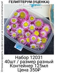 24f12a5f54b046bda96c755e3415fae3