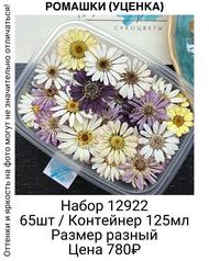 2ba0fc6b288e4ef89b5fc258008dc747
