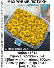 32cc76df1cfb4547bcf4913601ca629c