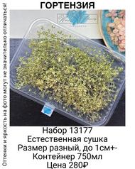 506ad3dc4ed946fe83b70359bd710c01