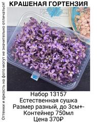 53b7aac057a048fd86e34921e4d93a7c