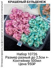 546ad177504e474a99c99e9ff88385bb