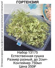 75dcd69579b34e86a7d7b053577ad787