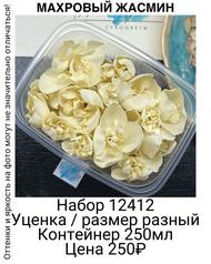 7977e6415e934509959c4e2f6592ad9b