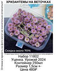 7e427cf3ef71400fbb8bc010b36a1248