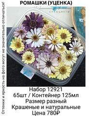 91f9feefbc8d493fae4003b701f892ac