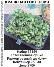 b5a340430e5748098f1c16f45867fb7a