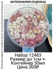 cace433b650e4b47ad53c880caaff4f7