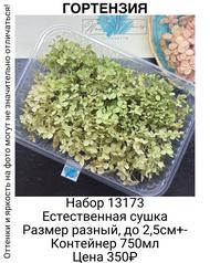 cda5202fccb748d694f2a662fceda99a