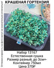 d169a7c05a364e87b7d40b383519fba0