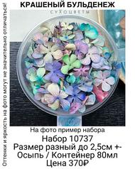 d53a2d54537542819b0ff782939ad1ef