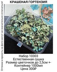 ec6042397fbd48f6b0643ad0c8894077