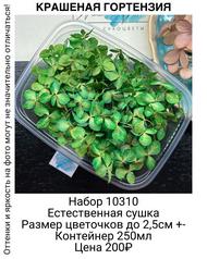 ecc53f02257340adb2b12847c7c62c32