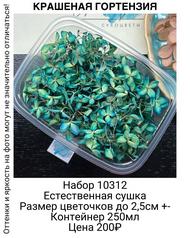 f1dd0a701431444b80bfbe113db4bd0a