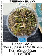 199d89e054bf44cc851298fb714b2afd