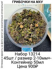 285c2c705cd94a44b7f1acd3c691851c