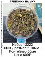 60bb11fb1ce045619e1276c3973523bb