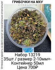 61466f8297194b68afa0fe3370b5730b