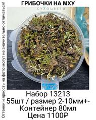 6db9843d560741768a2e97dee74db937