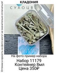 75b1b27cb0c442df982c12c1f4e86218