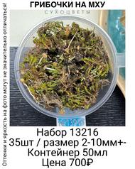 77133cee4c72438a9459826fc48d840d