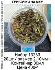 789b06d62f5f480b841f635bb0f49979