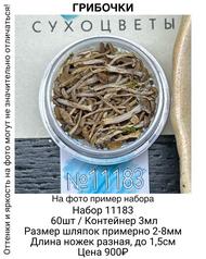 b13f224c732445f3bb6d31c9b31670b1